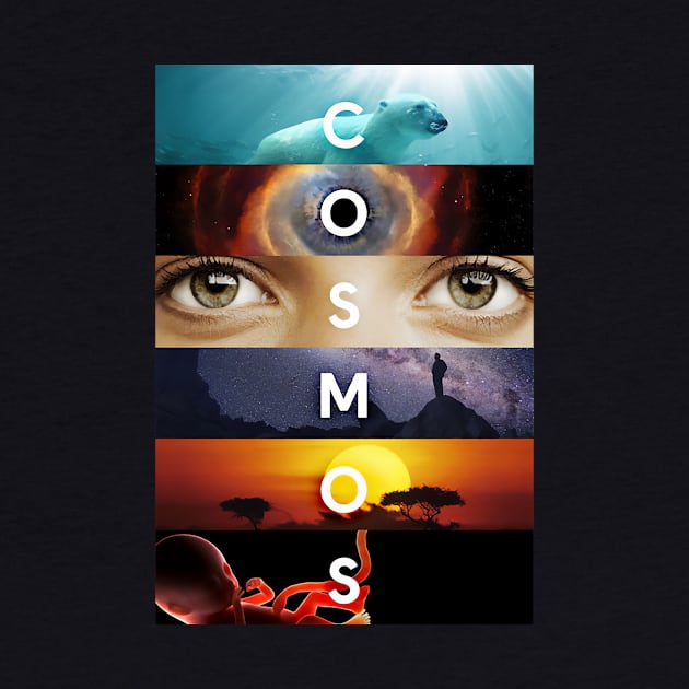 Cosmos by diiiana